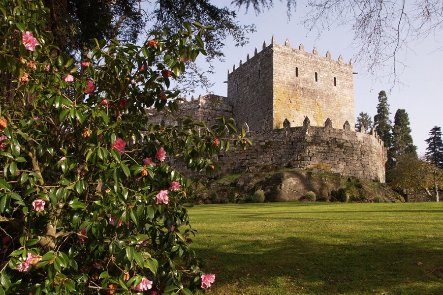 Camelias del jardín del Castillo de Soutomaior, Pontevedra