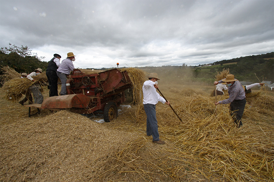 Malla Tradicional de lalín