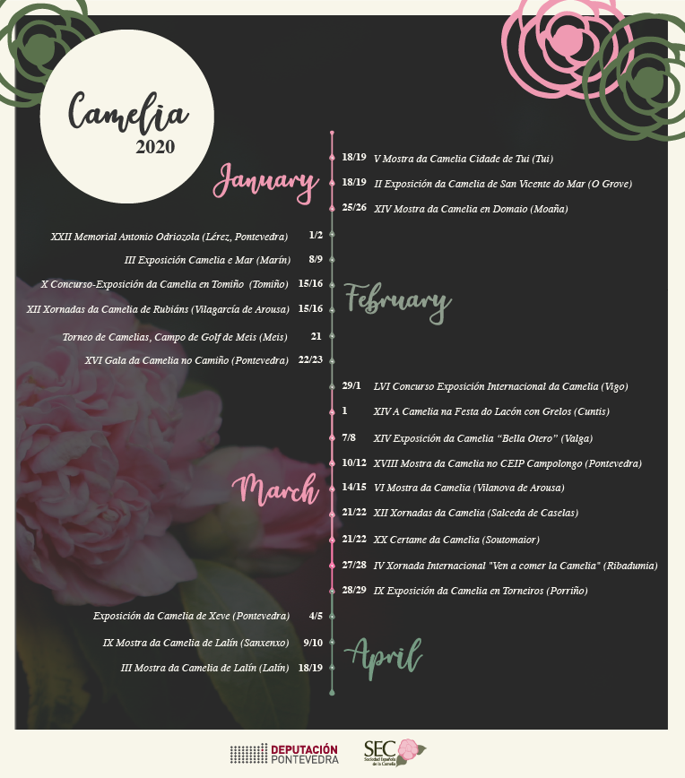 Calendario de exposiciones de la camelia en Rías Baixas 2020