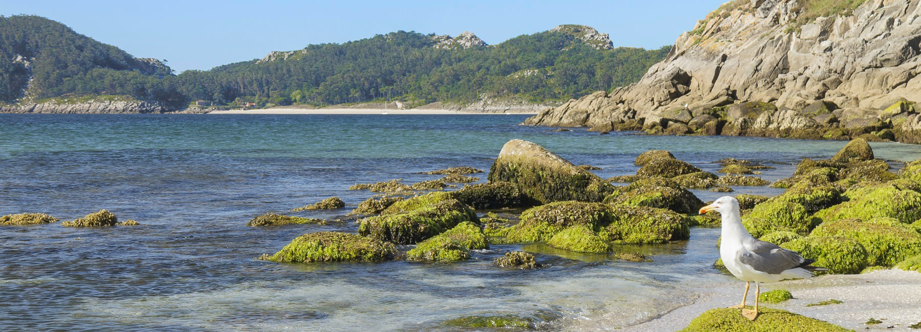 Red Natura en Rías Baixas - Turismo Rias Baixas