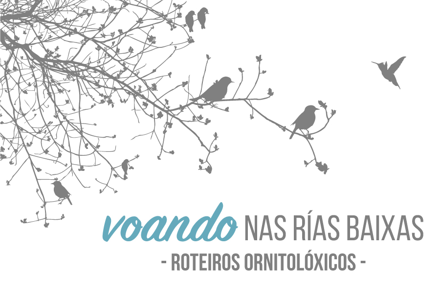 Voando nas Rías Baixas