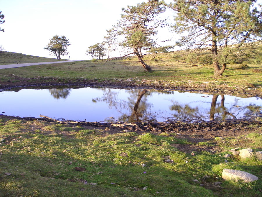 img01