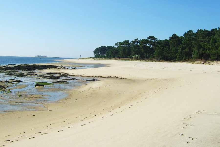 Playa Fluvial A Lamina, Tui