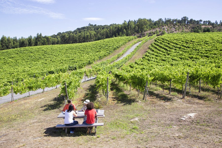 Bodegas Ruta do Viño Rías Baixas