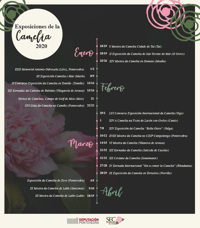 Calendario de exposiciones de la camelia en Rías Baixas 2020