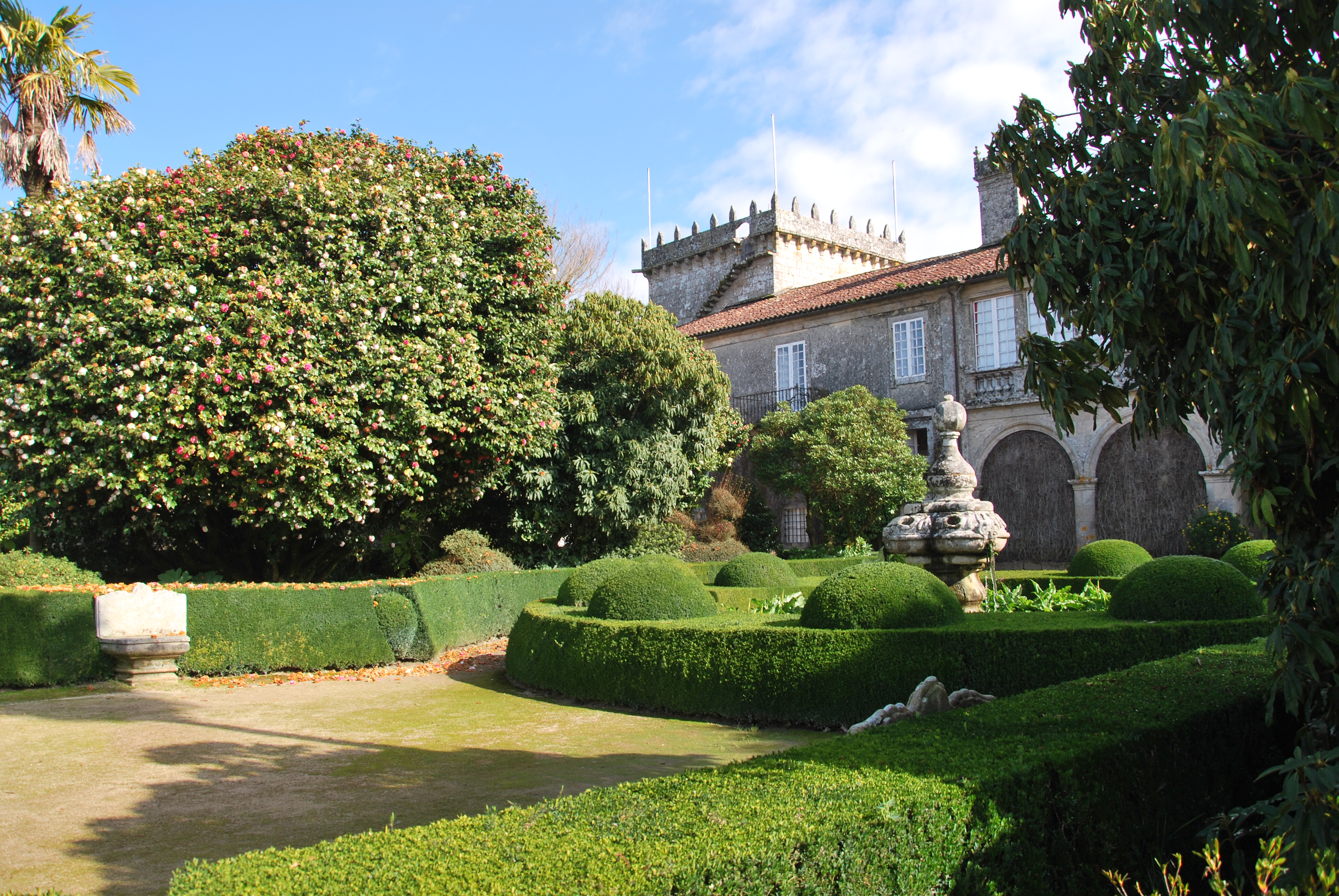 Ruta de la Camelia en Rías Baixas (Galicia) - Turismo Rias Baixas