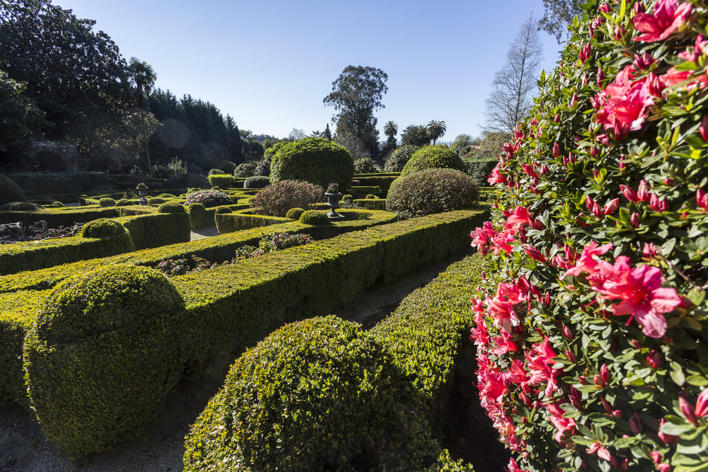 Pazo de Oca