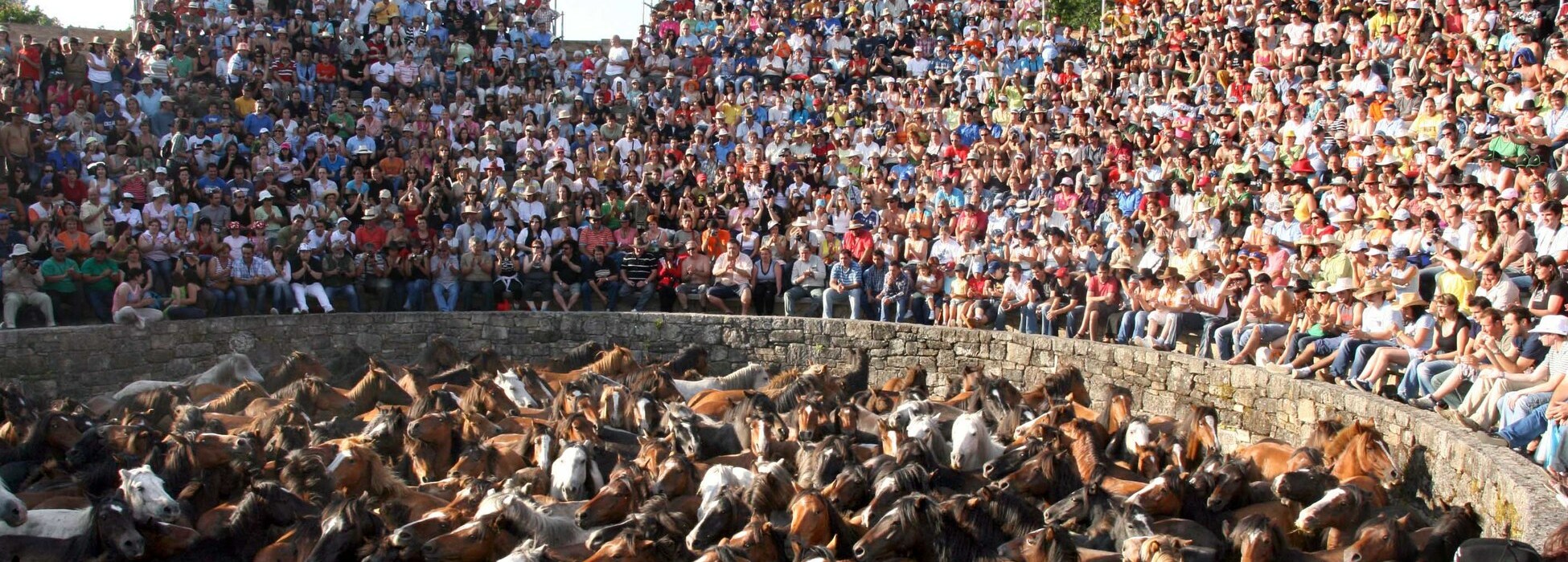 Rapa Das Bestas - Fiestas De Rías Baixas - Turismo Rias Baixas