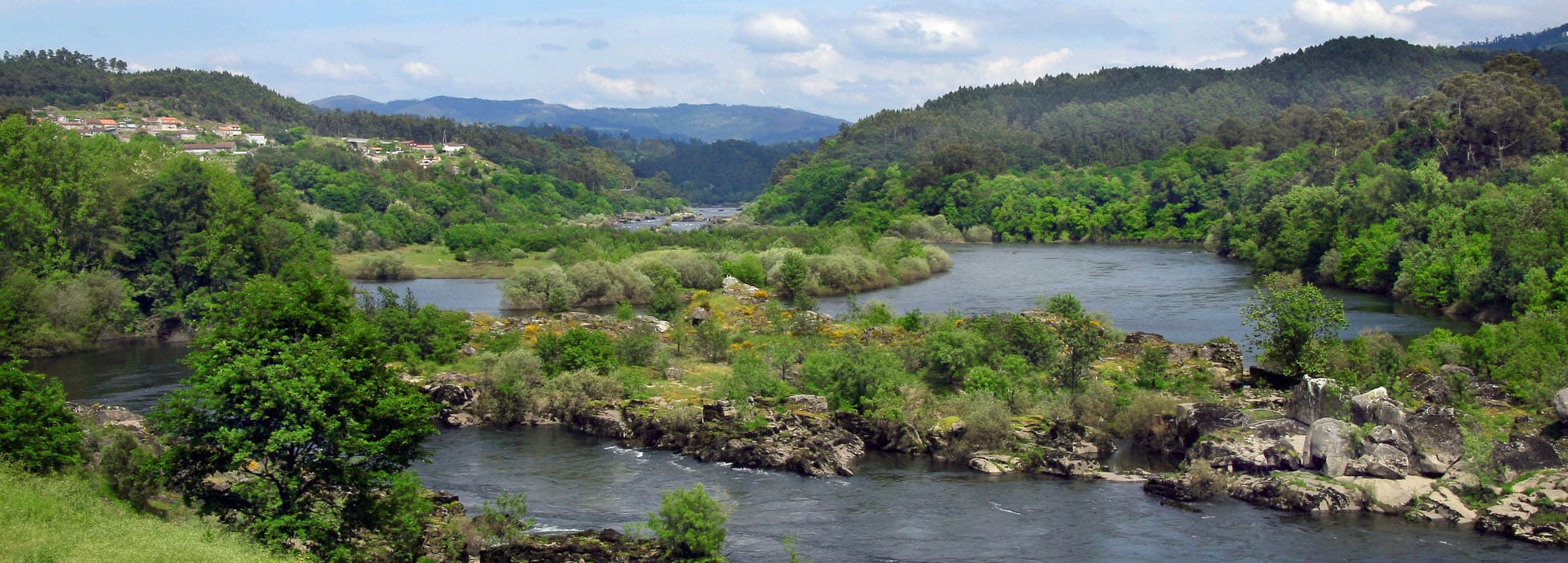 Lamprea e viñedos ao sur das Rías Baixas