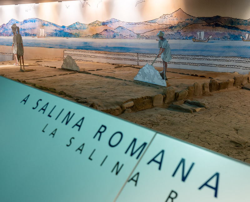 Centro Salinae