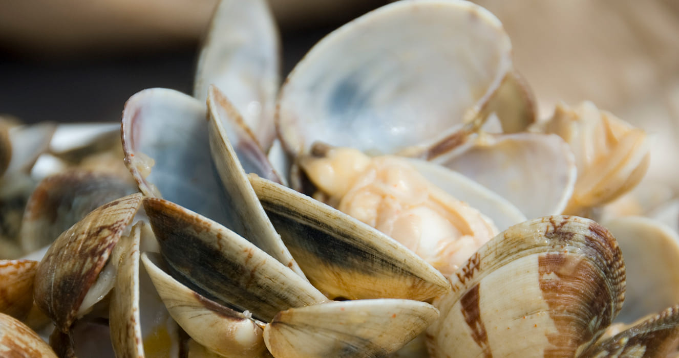 Almejas marisco gastronomía Rías Baixas