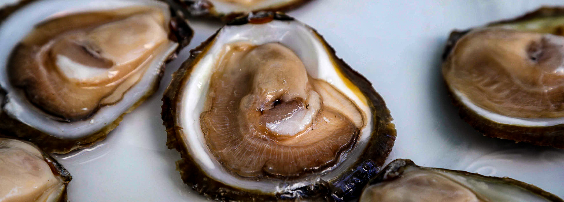 Carneiro ao Espeto - Turismo Rias Baixas