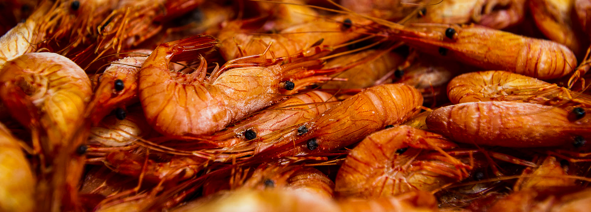 Fiestas en Rías Baixas