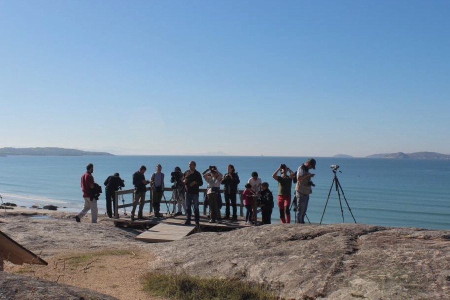 Avistamento de aves birding na provincia de Pontevedra