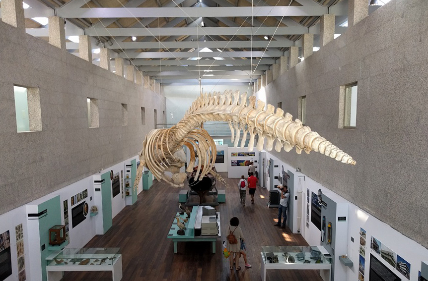 Museo del Mar de Galicia